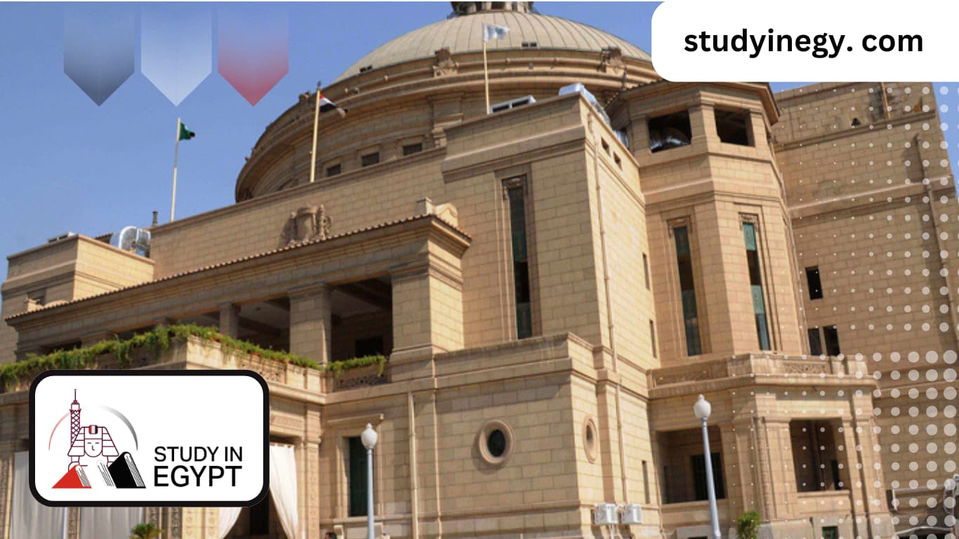 Studying Electrical Power Engineering at Cairo University