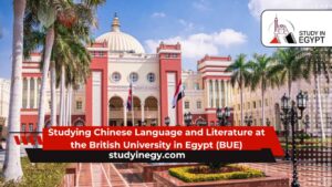 Studying Chinese Language and Literature at the British University in Egypt (BUE)