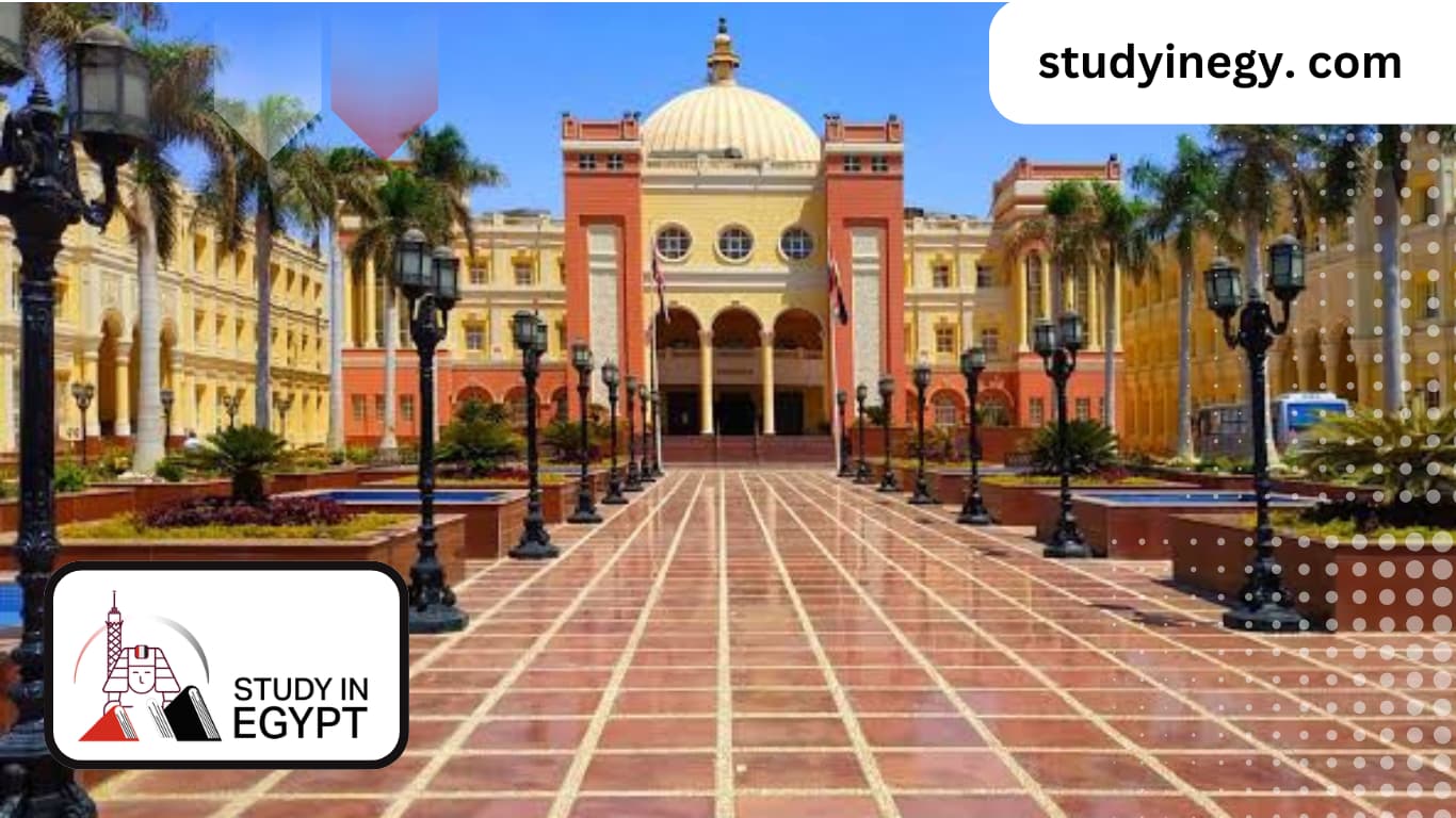 Studying Chinese Language and Literature at the British University in Egypt (BUE)