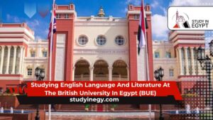 Studying English Language And Literature At The British University In Egypt (BUE)