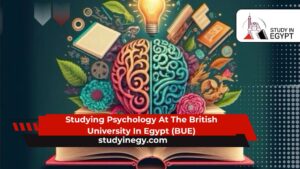 Studying Psychology At The British University In Egypt (BUE)