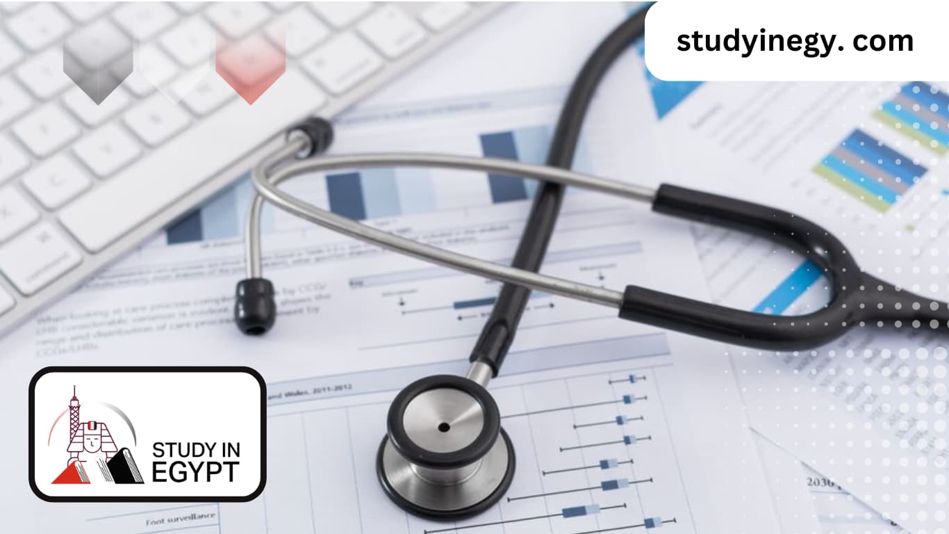 Studying At The British University In Egypt (BUE) School Of Nursing