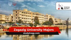 Zagazig University Majors