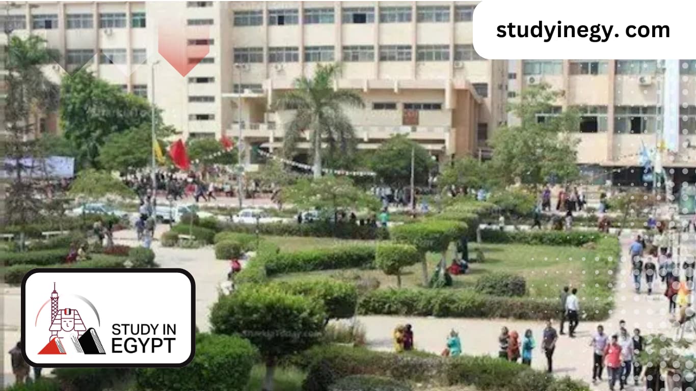 Zagazig University Majors