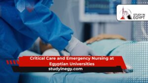 Critical Care and Emergency Nursing at Egyptian Universities
