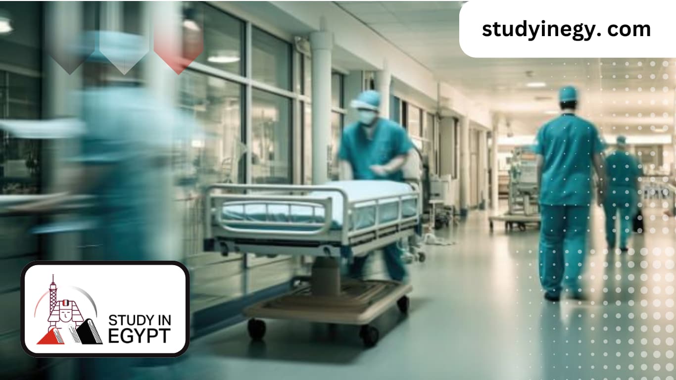 Critical Care and Emergency Nursing at Egyptian Universities