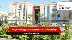 Psychology at Mansoura University
