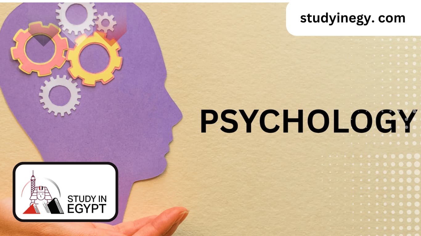 Psychology at Mansoura University