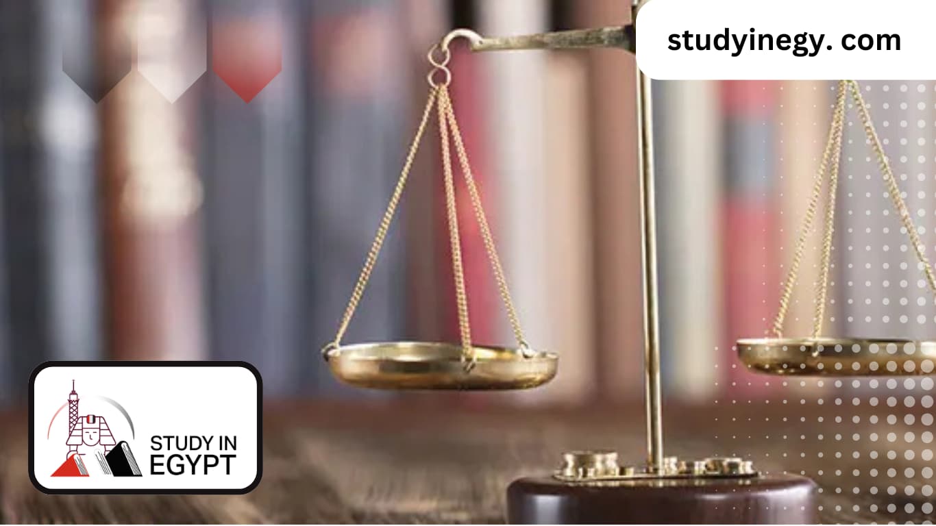 10 Reasons Why We Study Politics