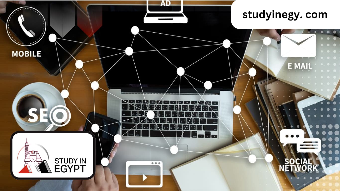 Studying Digital Media in Egyptian Universities