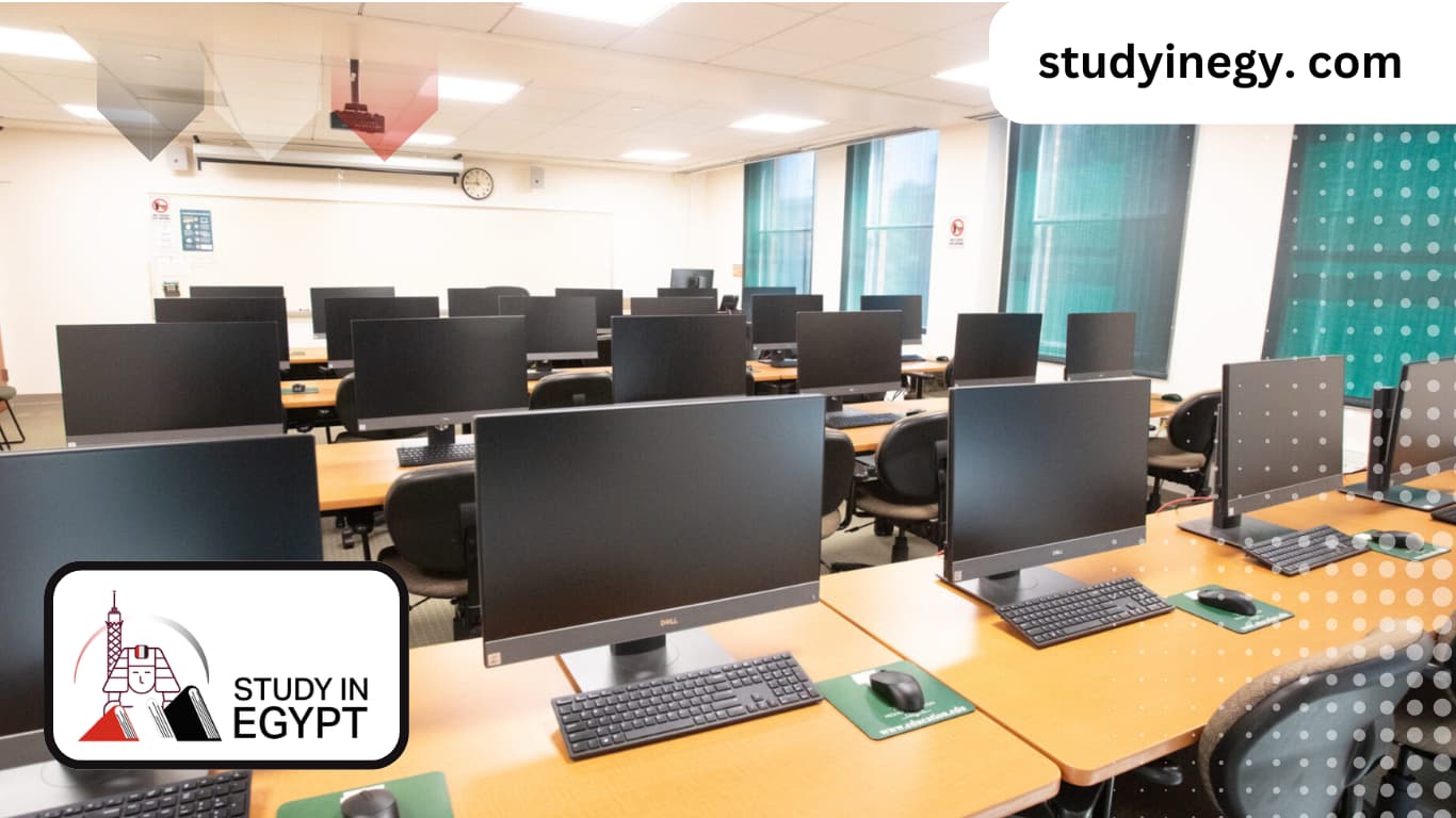 The Faculty Of Computers And Information At Suez Canal University