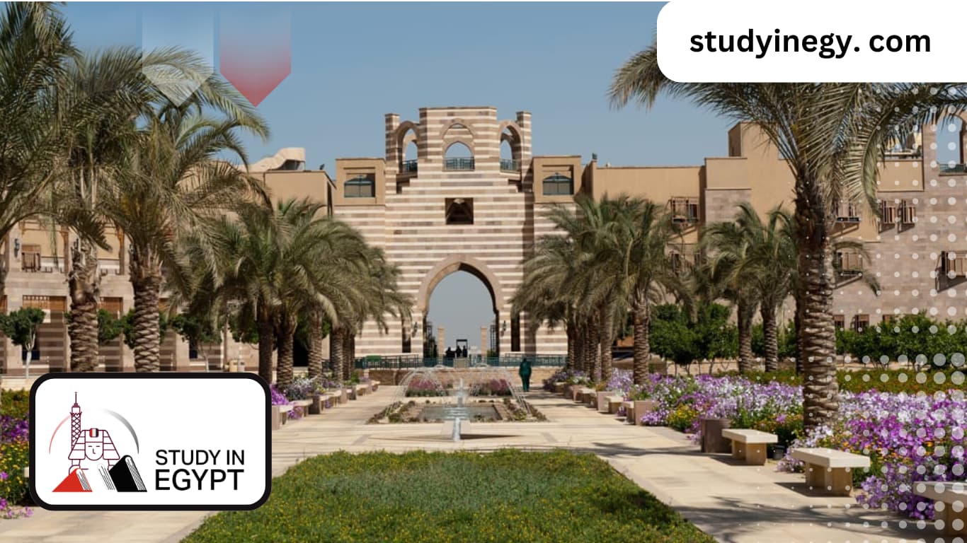 The Most Important Egyptian Degrees Recognized Internationally