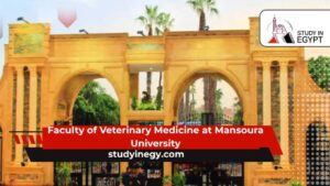Faculty of Veterinary Medicine at Mansoura University