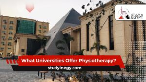 What Universities Offer Physiotherapy?