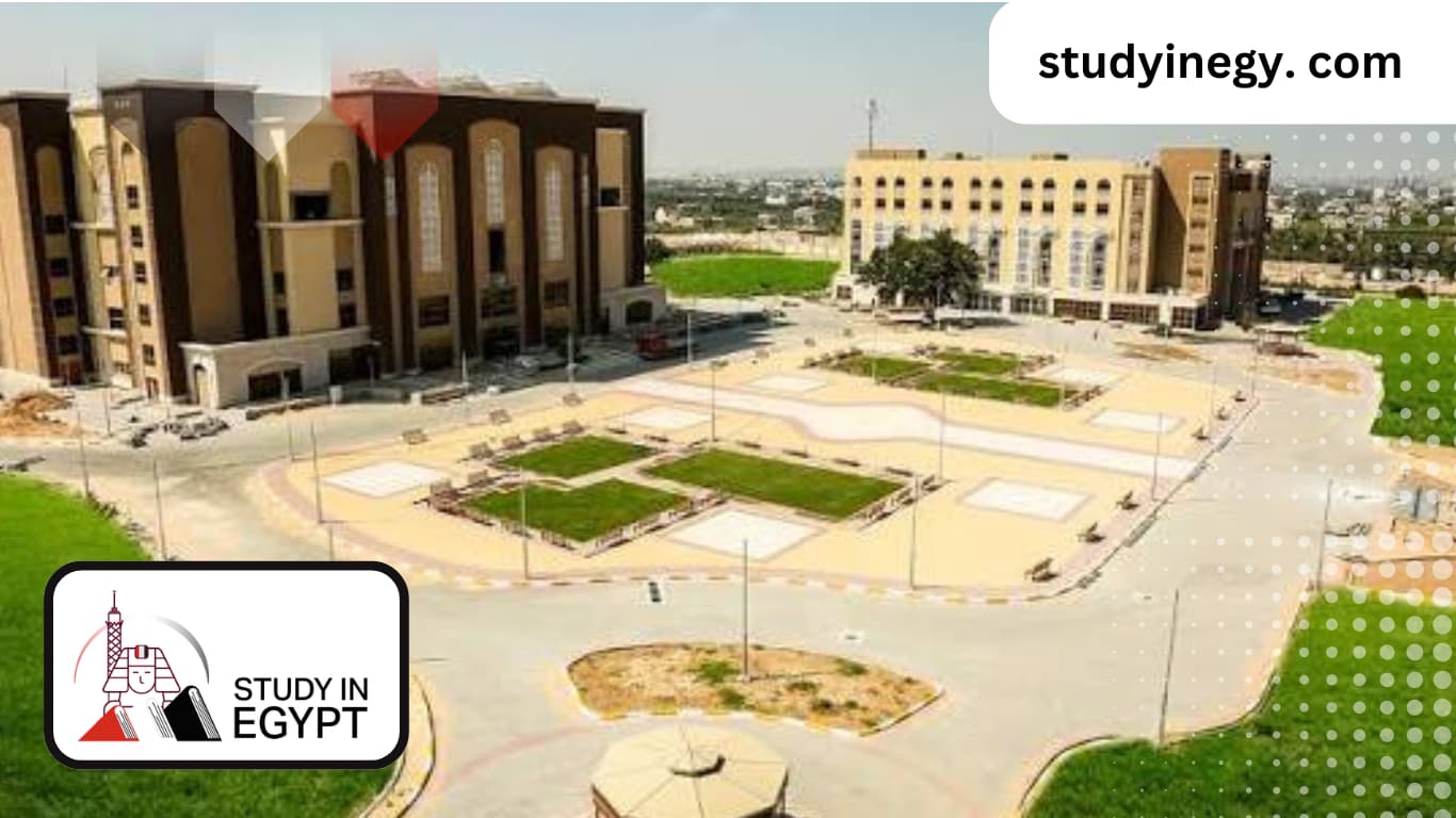 Majors at Al-Azhar University