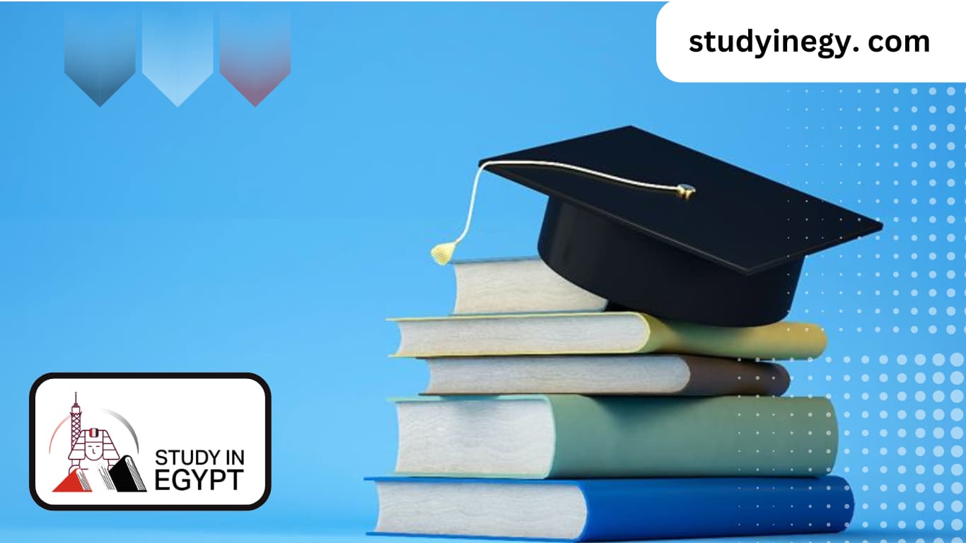 Studying a Master’s Degree in Egypt Remotely