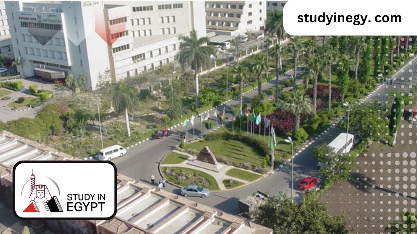 Faculty of Arts at Mansoura University
