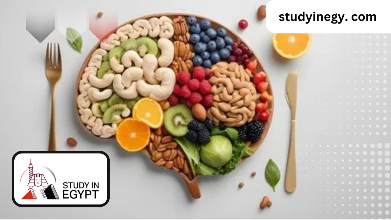 Therapeutic Nutrition Master's Program at Cairo University