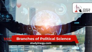 Branches of Political Science