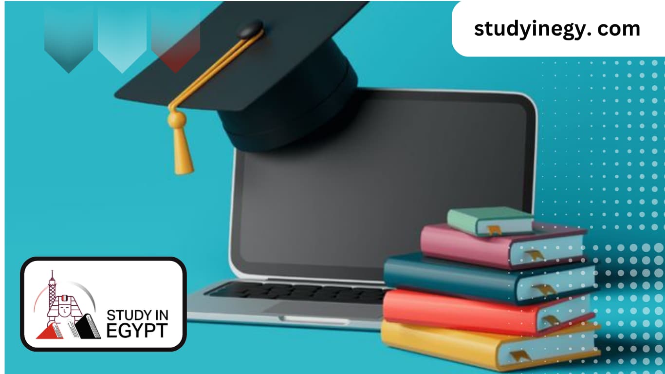 Master’s Degree in Risk and Crisis Management Remotely at the Egyptian Universities