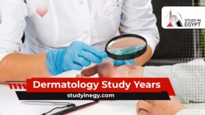 Dermatology Study Years