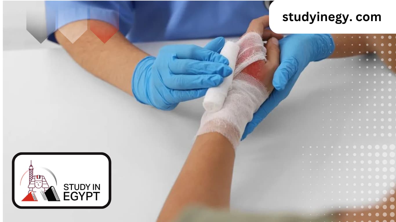 Dermatology Study Years