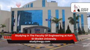 Studying in The Faculty Of Engineering at Kafr El-Sheikh University