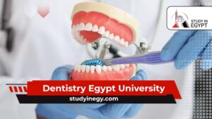 Dentistry Egypt University