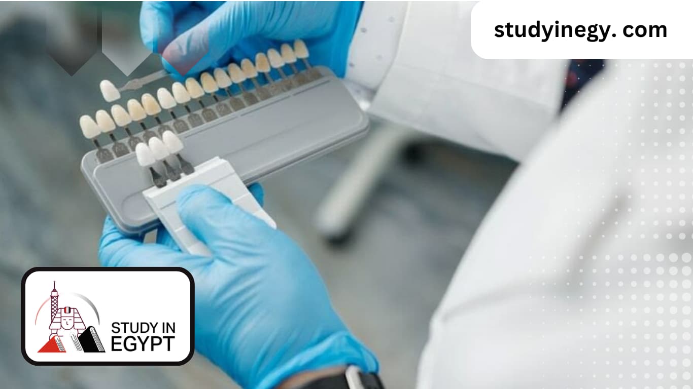 Dentistry Egypt University