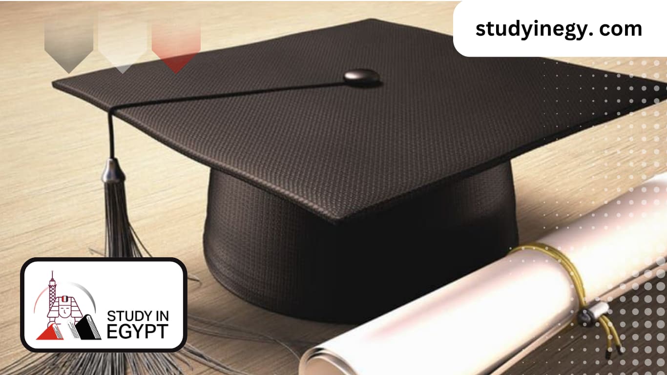 Master’s degree in Political Science and International Relations at Cairo University